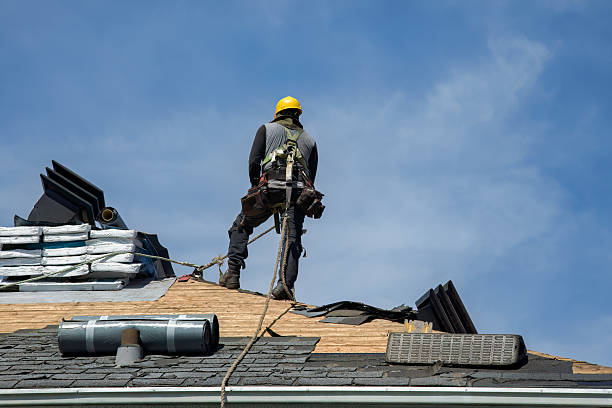 Professional Roofing technician working in Holly Springs, NC